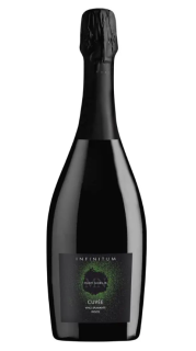 Вино ігристе INFINITUM Cuvee Dolce 10% (солодке,біле,Італія) 0,75л, 6шт/ящ - фото